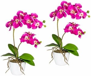 Kunstpflanze Orchidee Phalaenopsis Orchidee, Creativ green, Höhe 60 cm, im Keramiktopf