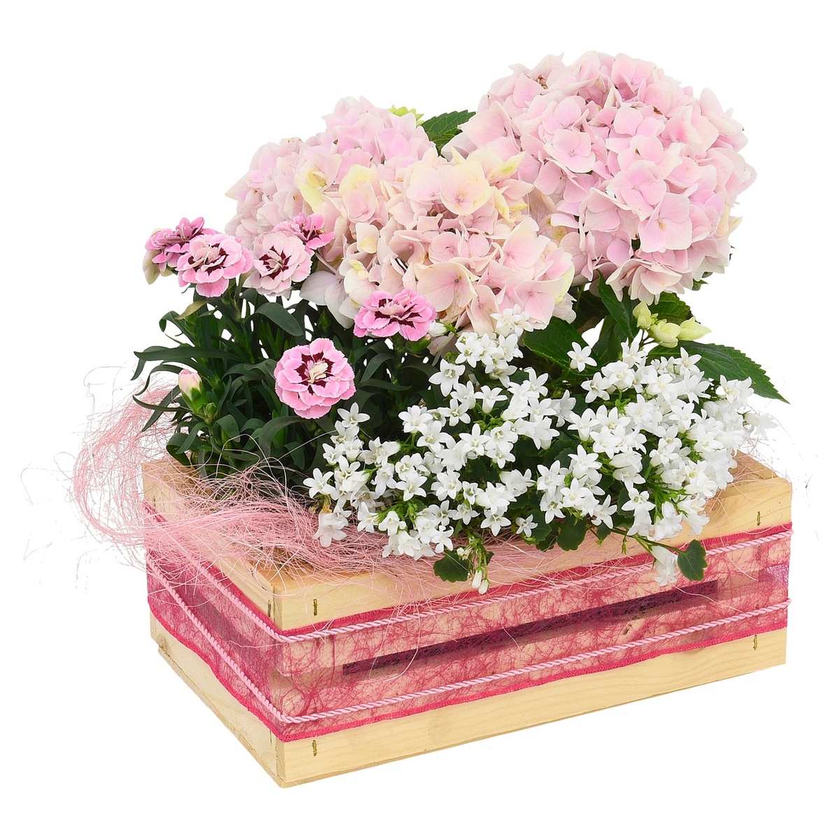 Bild 1 von GARDENLINE Muttertagsarrangement