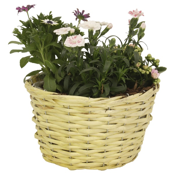 Bild 2 von GARDENLINE Muttertagsarrangement