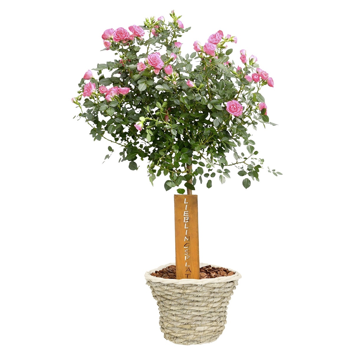 Bild 1 von GARDENLINE Muttertagsarrangement