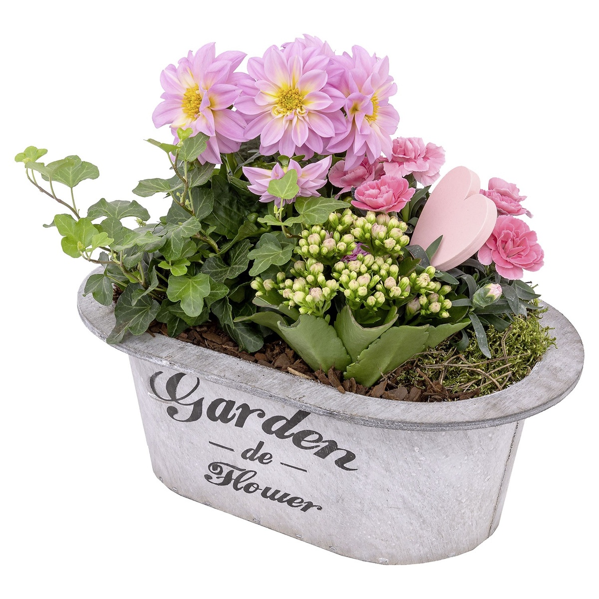 Bild 3 von GARDENLINE Muttertagsarrangement