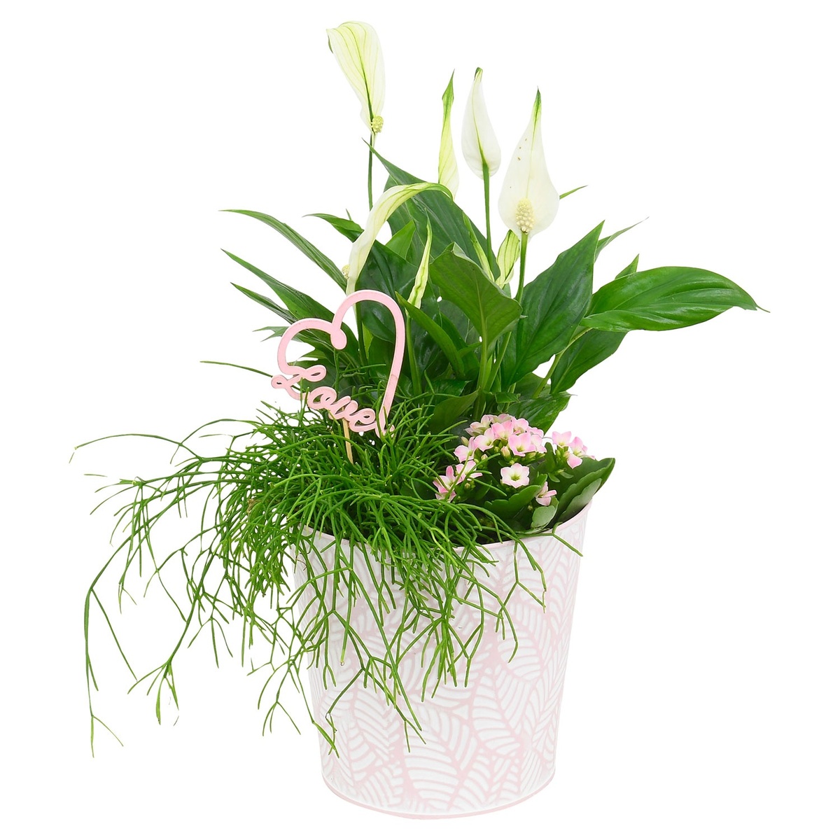 Bild 4 von GARDENLINE Muttertagsarrangement