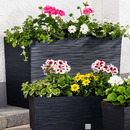 Bild 1 von Powertec Garden Blumenkasten "Florenz" -77 cm