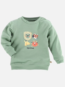 Jungen Sweatshirt mit Tiermotiven
                 
                                                        Grün