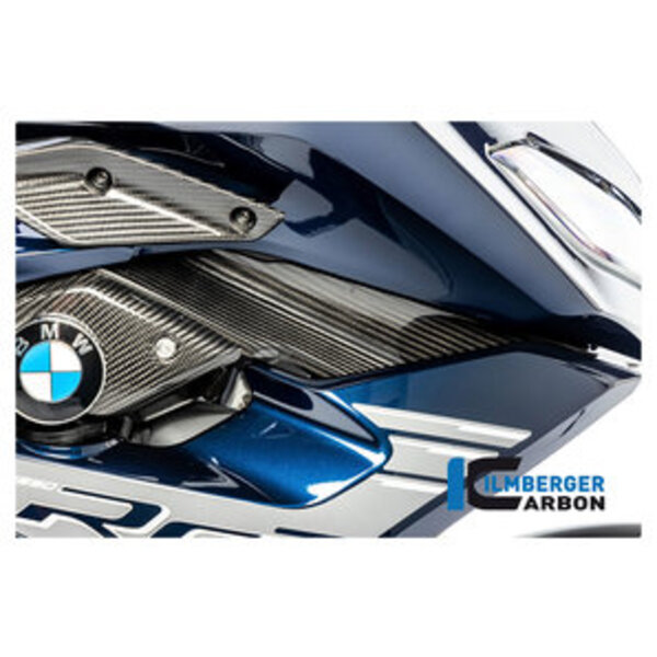 Bild 1 von Carbonteile für BMW R1250 R/RS 19- Ilmberger