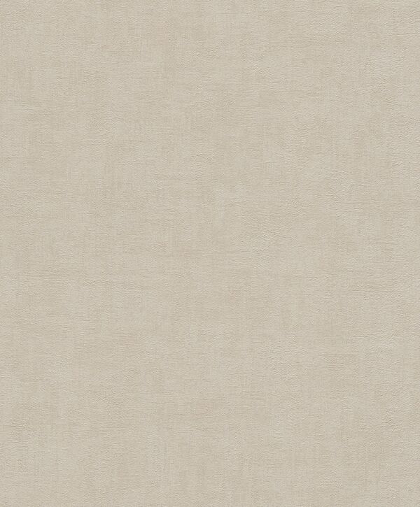 Bild 1 von Rasch Vliestapete Selection Uni taupe