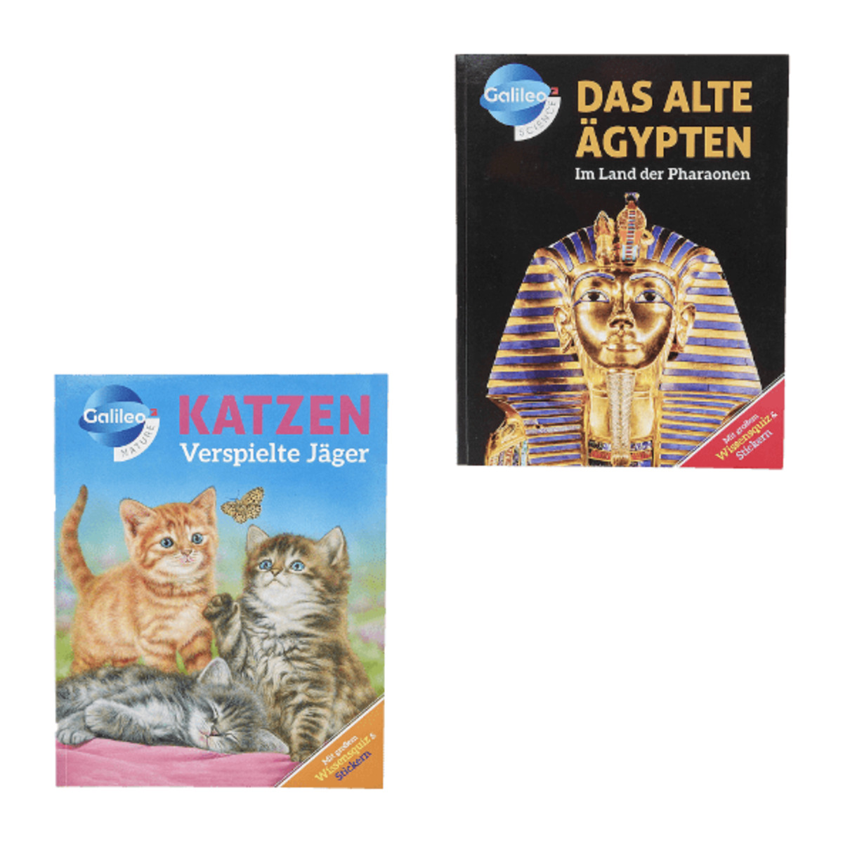 Bild 1 von Galileo Wissen