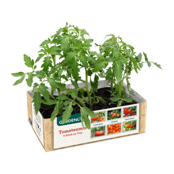 Bild 1 von GARDENLINE Tomatenmix