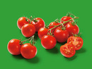 Bild 1 von Deutsche Cocktailstrauchtomaten, 
         350 g