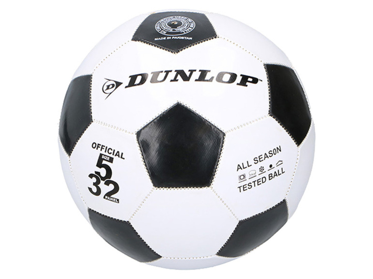 Bild 4 von DUNLOP eingezäuntes Fußballfeld mit 2 Fußballtoren