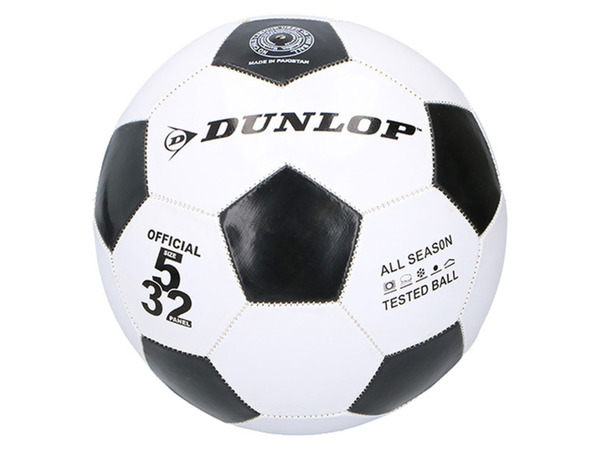 Bild 4 von DUNLOP eingezäuntes Fußballfeld mit 2 Fußballtoren