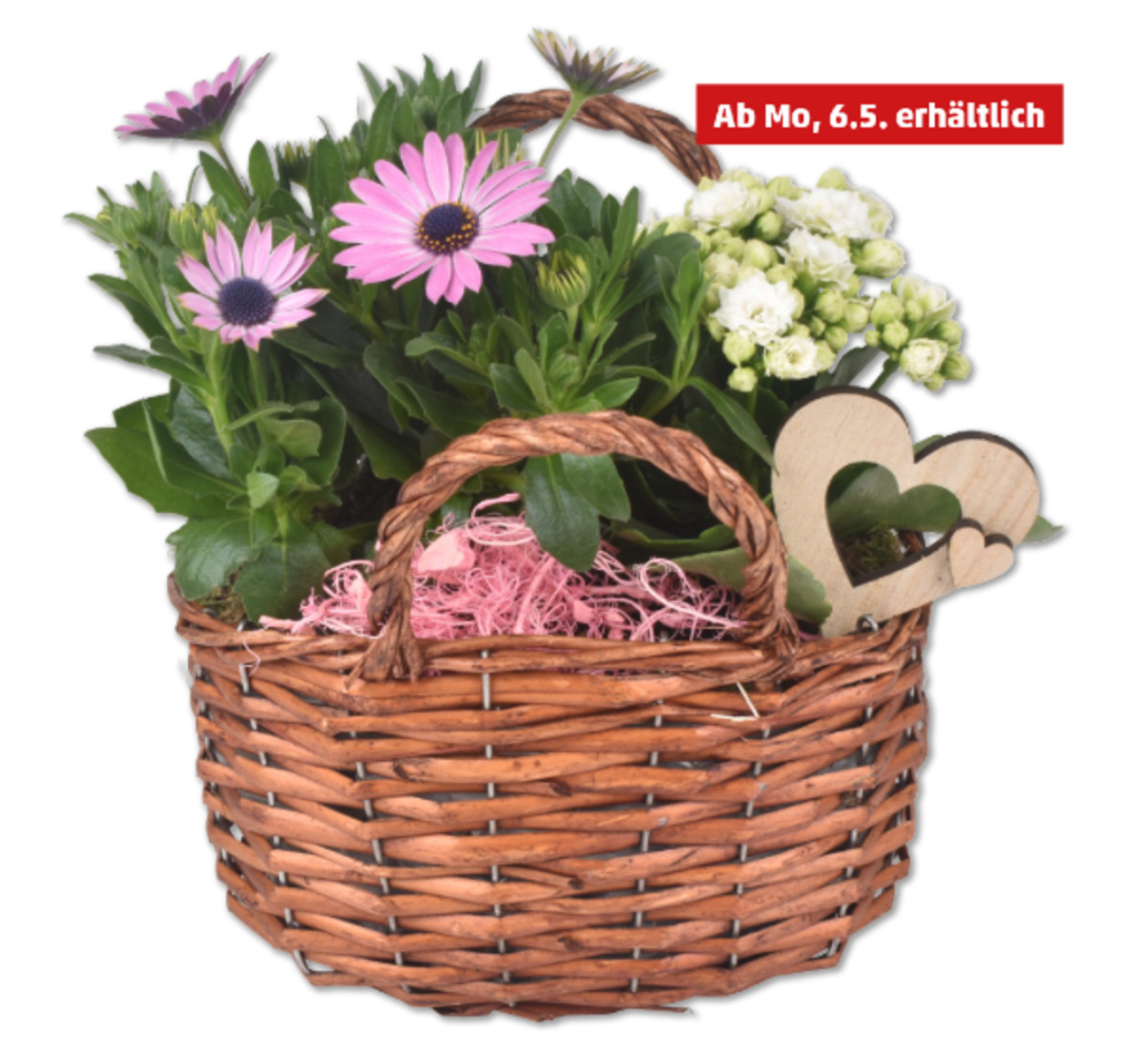 Bild 1 von Bepflanzte Korbtasche*