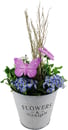 Bild 1 von Sommer Arrangement  im 19 cm Zinktopf