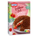 Bild 1 von DR. OETKER Erdbeerzeit Maulwurfkuchen*