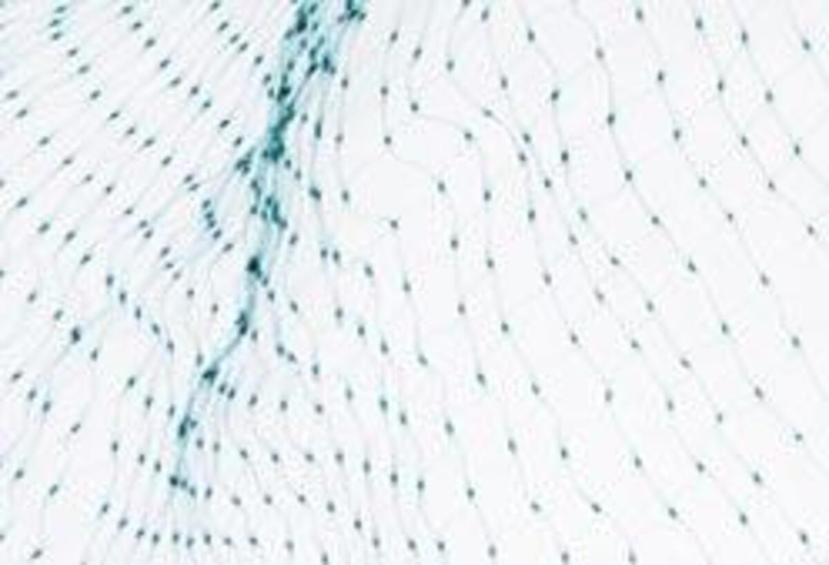 Bild 2 von Gartennetz