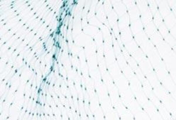 Bild 2 von Gartennetz