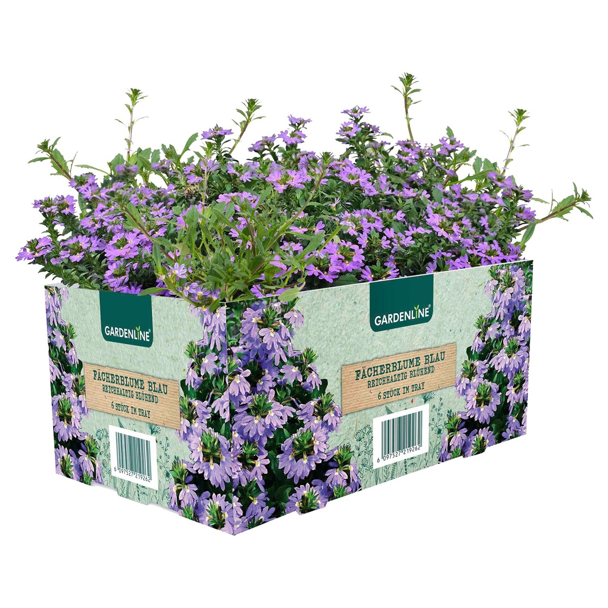 Bild 2 von GARDELINE Balkon- und Kübelpflanzen, 6er-Tray