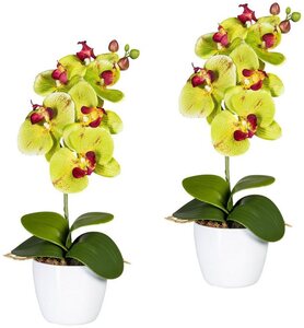 Kunstpflanze Orchidee Phalaenopsis Orchidee, Creativ green, Höhe 40 cm, im Keramiktopf