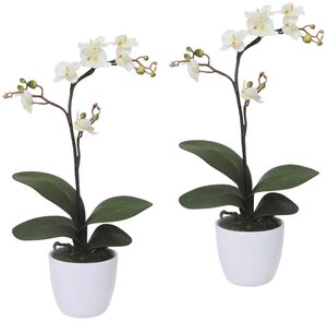 Kunstpflanze Orchidee Phalaenopsis Orchidee, Creativ green, Höhe 55 cm, im Keramiktopf