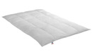 Bild 1 von IRISETTE Daunensteppbett Warm ¦ weiß ¦ Maße (cm): B: 200 H: 8 Bettwaren > Bettdecken - Sconto