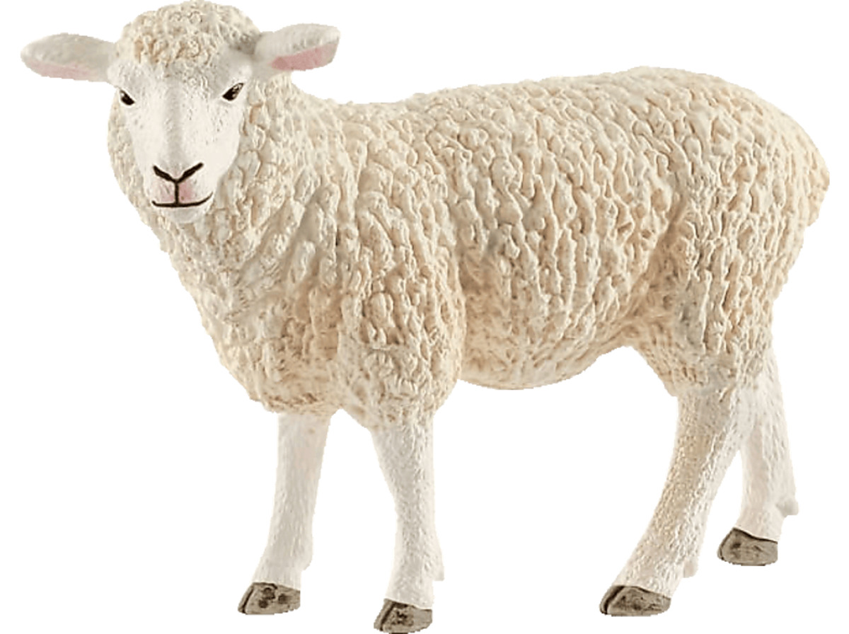 Bild 1 von SCHLEICH Schaf Spielfigur Mehrfarbig, Mehrfarbig