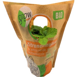 Grow by OBI Bio Zitronenmelisse Topf-Ø ca. 13 cm "Melissa officinalis"