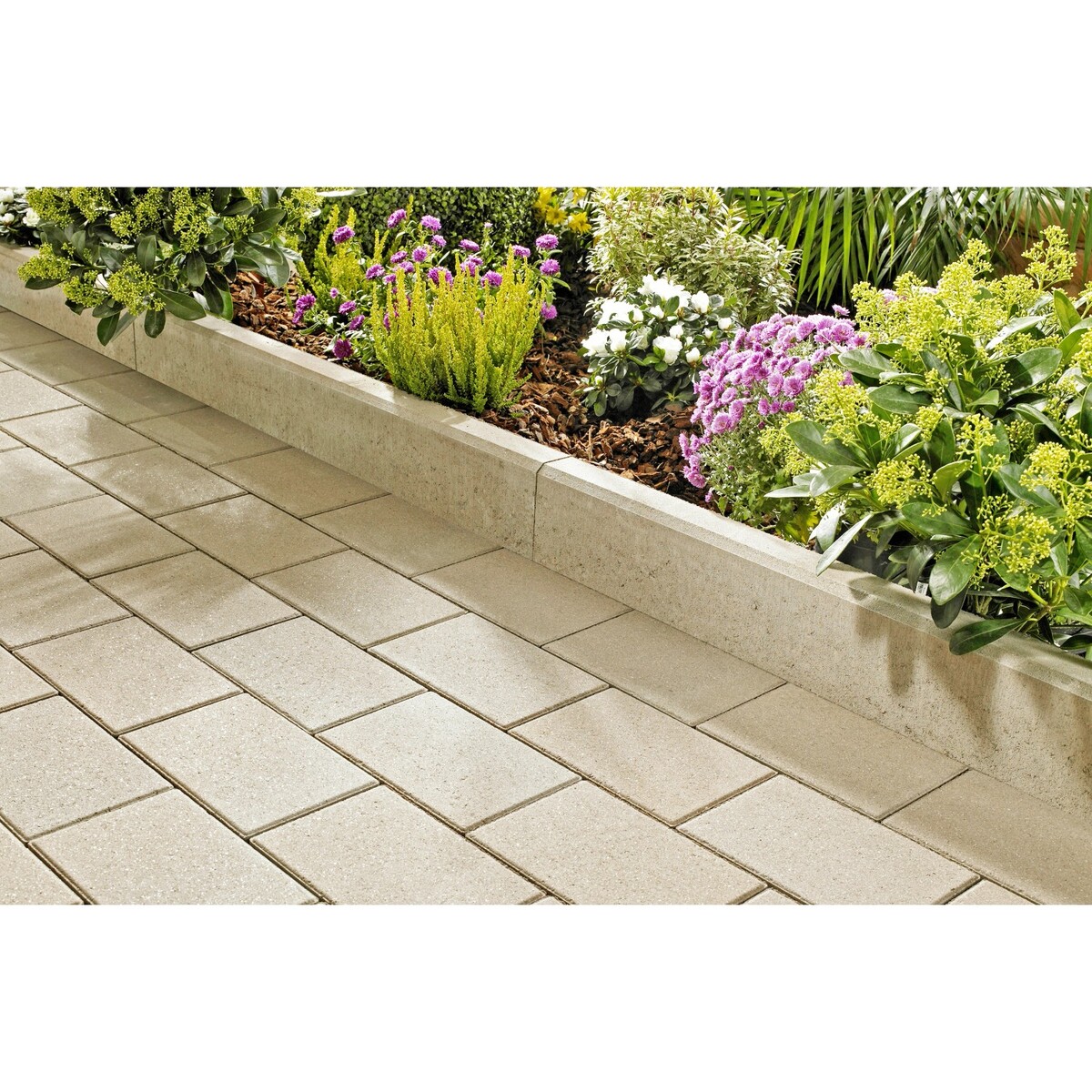 Bild 1 von Randstein Vero Pastellbeige 100 cm x 25 cm x 6 cm