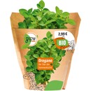 Bild 2 von Grow by OBI Bio Oregano Topf-Ø ca. 13 cm "Origanum vulgare"