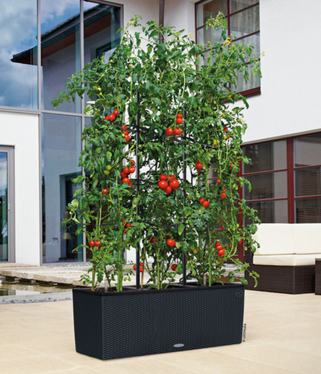 Bild 2 von LECHUZA® Polyrattan-Kasten Trio Cottage, graphitschwarz