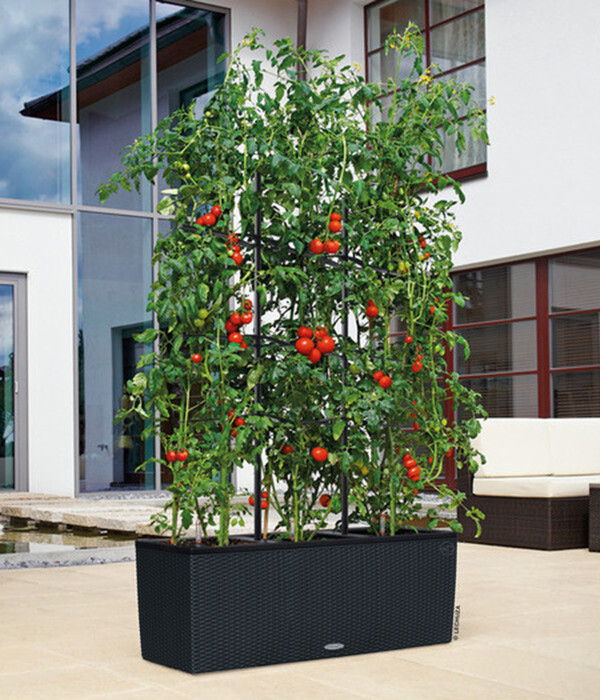 Bild 2 von LECHUZA® Polyrattan-Kasten Trio Cottage, graphitschwarz