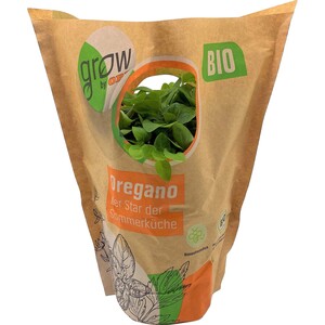 Grow by OBI Bio Oregano Topf-Ø ca. 13 cm "Origanum vulgare"