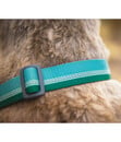 Bild 2 von RUFFWEAR® Hundehalsband Chain Reaction™ River Rock Green, S