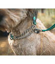 Bild 4 von RUFFWEAR® Hundehalsband Chain Reaction™ River Rock Green, S