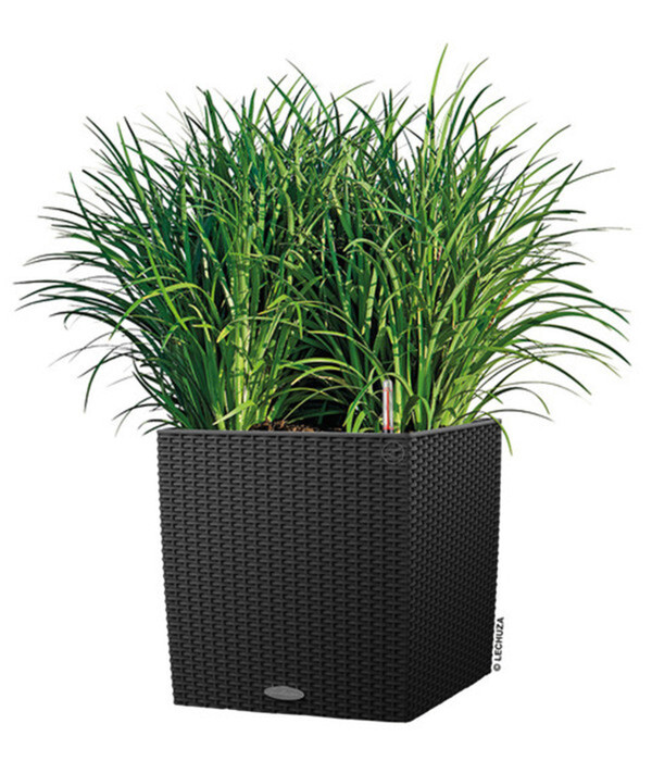 Bild 2 von LECHUZA® Kunststoff-Topf Cube Cottage, quadratisch