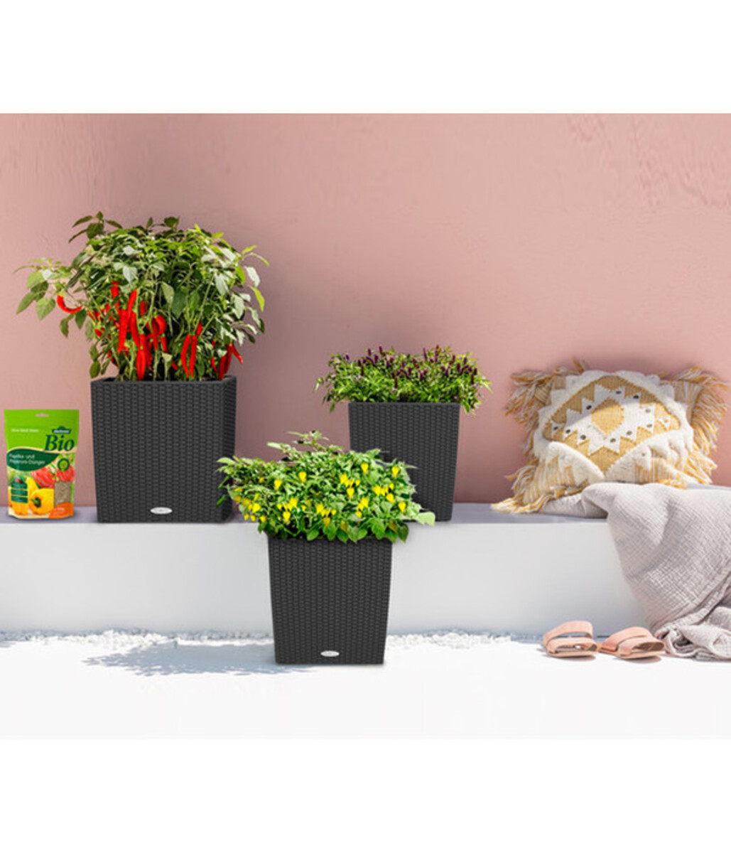 Bild 4 von LECHUZA® Kunststoff-Topf Cube Cottage, quadratisch