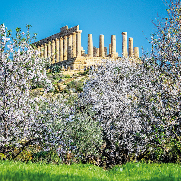 Bild 1 von Sizilien zur Mandelblüte