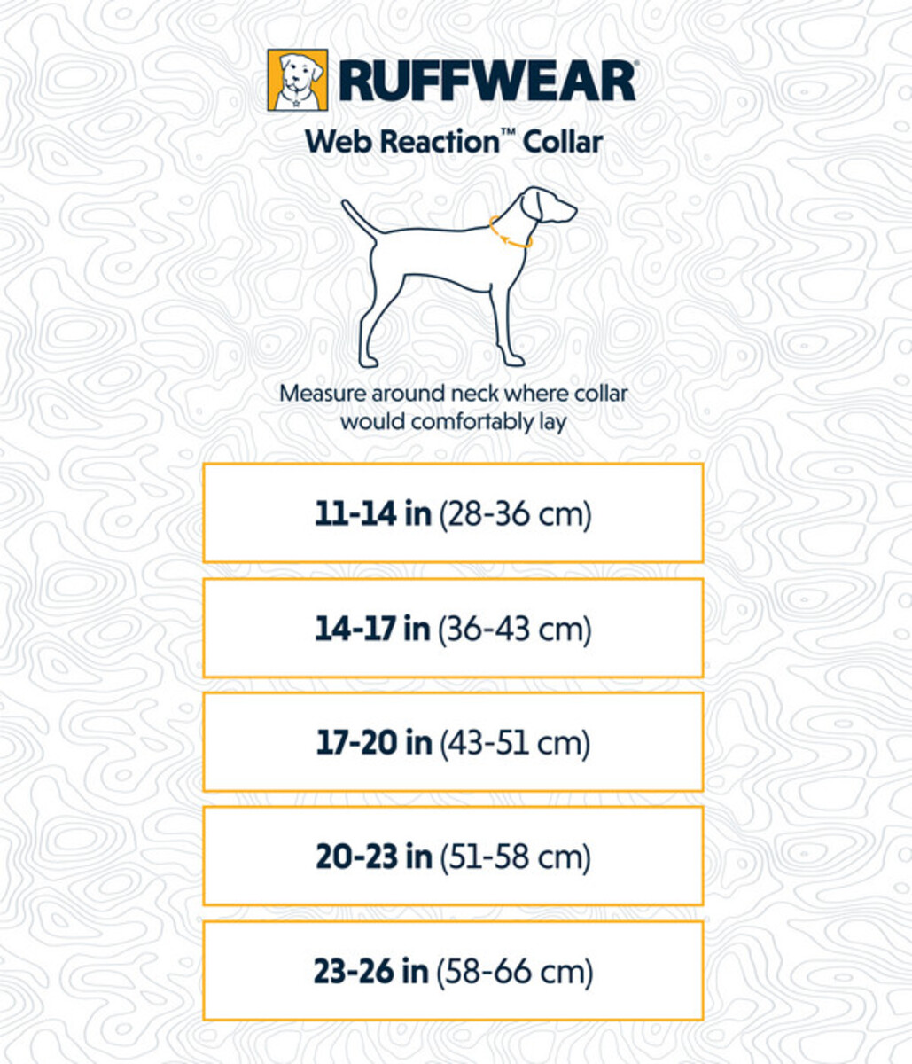 Bild 2 von RUFFWEAR® Hundehalsband Web Reaction™ River Rock Green, S