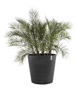 Bild 2 von Ecopots Kunststoff-Topf Amsterdam mit Rollen, rund