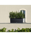 Bild 3 von LECHUZA® Polyrattan-Kasten Trio Cottage, graphitschwarz