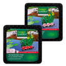 Bild 1 von Finest Garden Teichpflanzen Insel