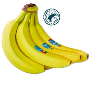 CHIQUITA Bananen*