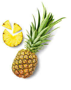 Costa-rican. Ananas, lose