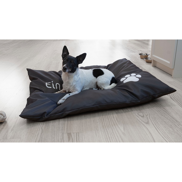 Bild 2 von ROY Hundekissen mit Sprüchen