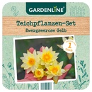 Bild 4 von GARDENLINE Teichpflanzen-Set