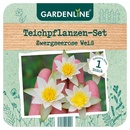 Bild 3 von GARDENLINE Teichpflanzen-Set