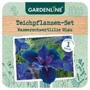 Bild 1 von GARDENLINE Teichpflanzen-Set