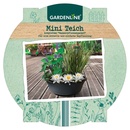 Bild 3 von GARDENLINE Mini-Teich