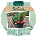 Bild 2 von GARDENLINE Mini-Teich