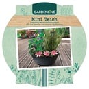 Bild 1 von GARDENLINE Mini-Teich