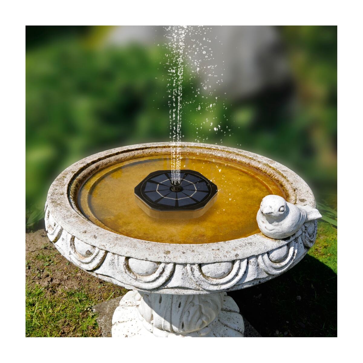 Bild 1 von GARVIDA Solar-Gartenfontäne 3,7V schwarz inkl. 6 Sprühaufsätze